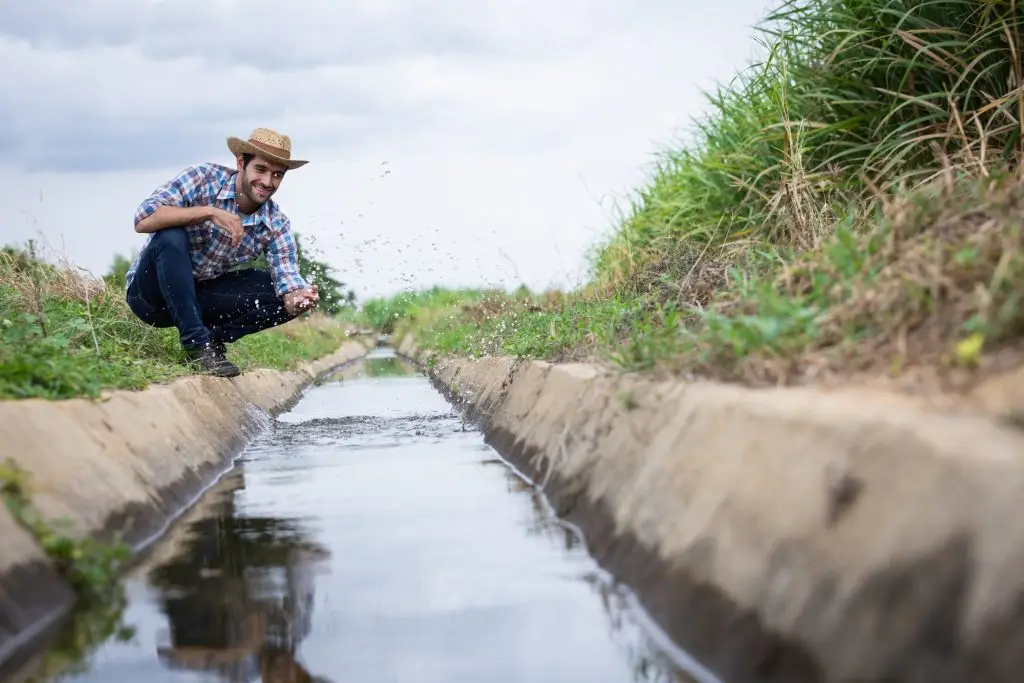 Farmer Inspecting Water Flow in Irrigation Canal